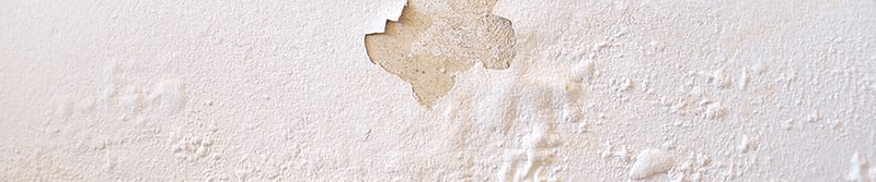 How to Get Rid of Damp on Walls